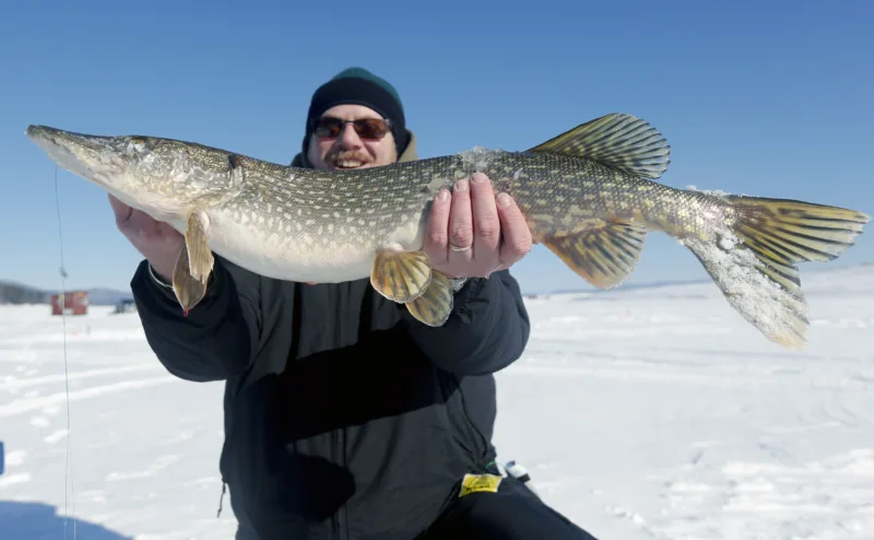 Regulation changes for spawning closure, northern pike now in effect
